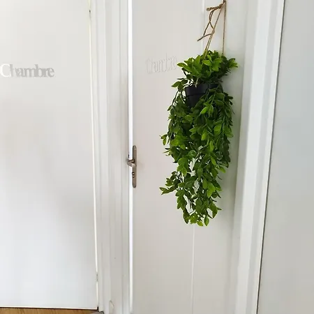 Parisian Cosy Flat With Balcony Apartment *